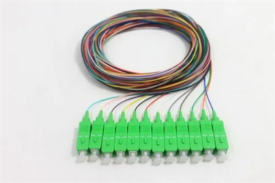 12 strand pigtail SM 900um SC/APC to blunt 3 meter